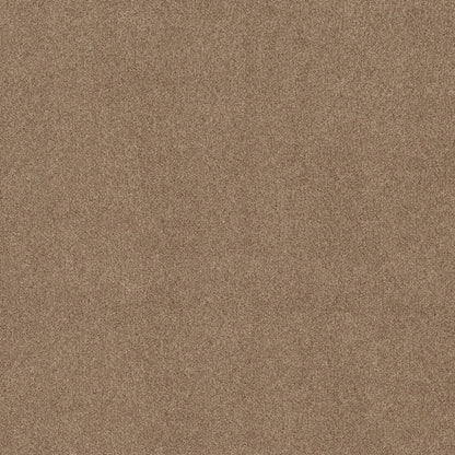 BERBER CUT PILE