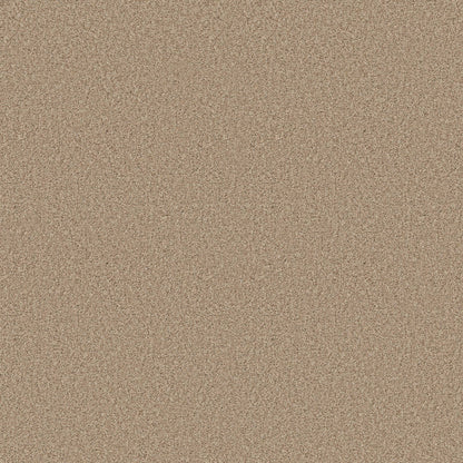BERBER CUT PILE