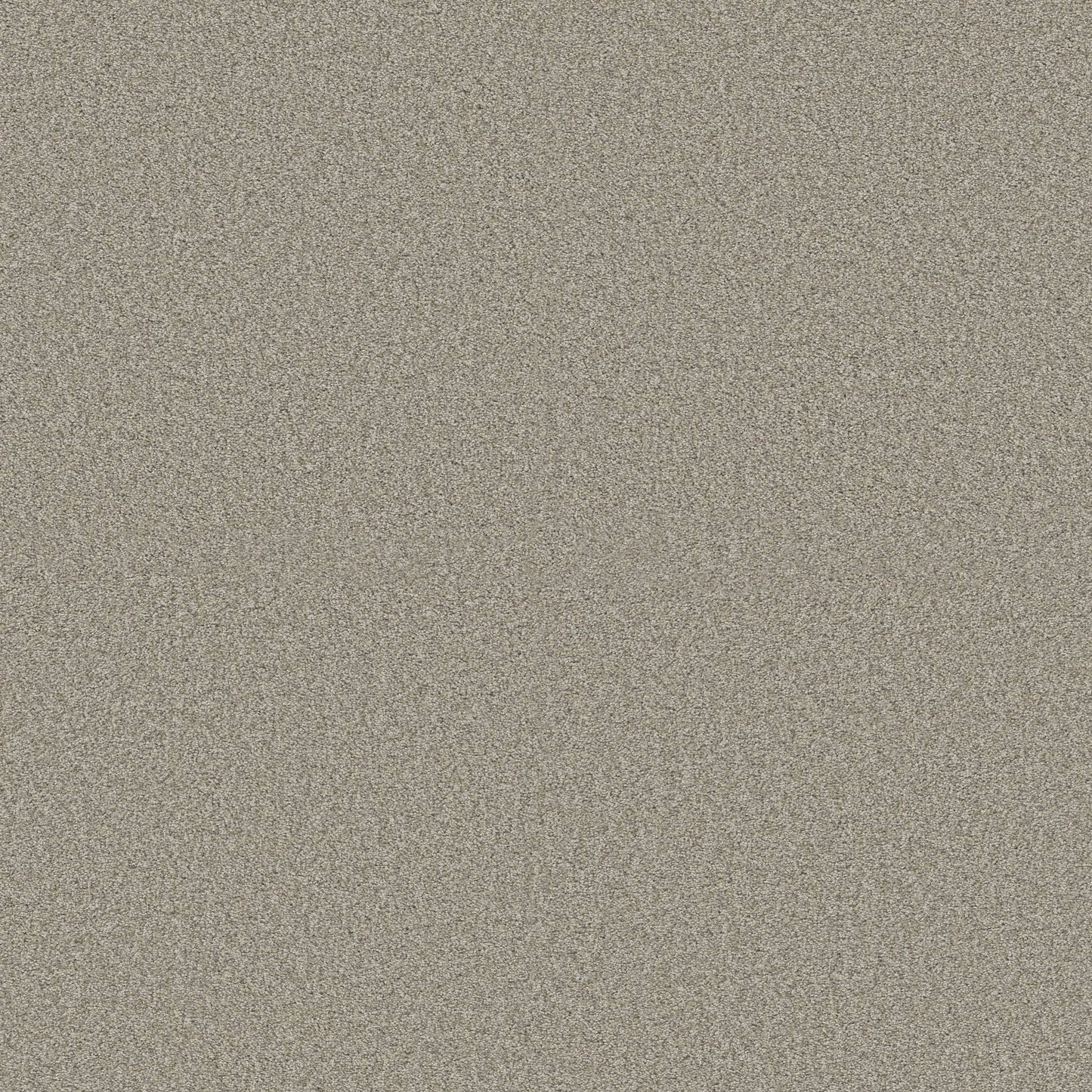 BERBER CUT PILE