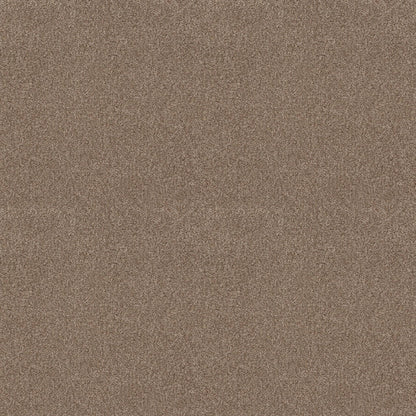 BERBER CUT PILE