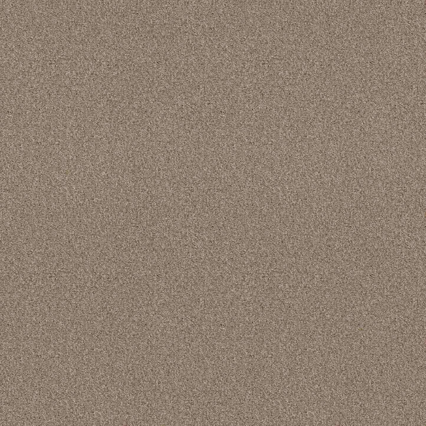 BERBER CUT PILE