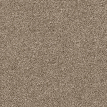 BERBER CUT PILE