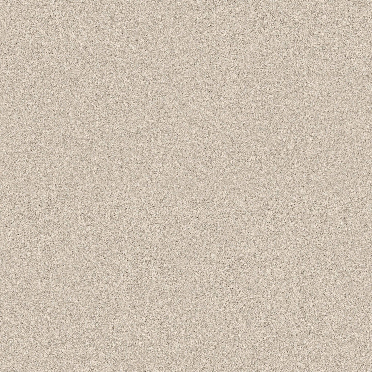 BERBER CUT PILE