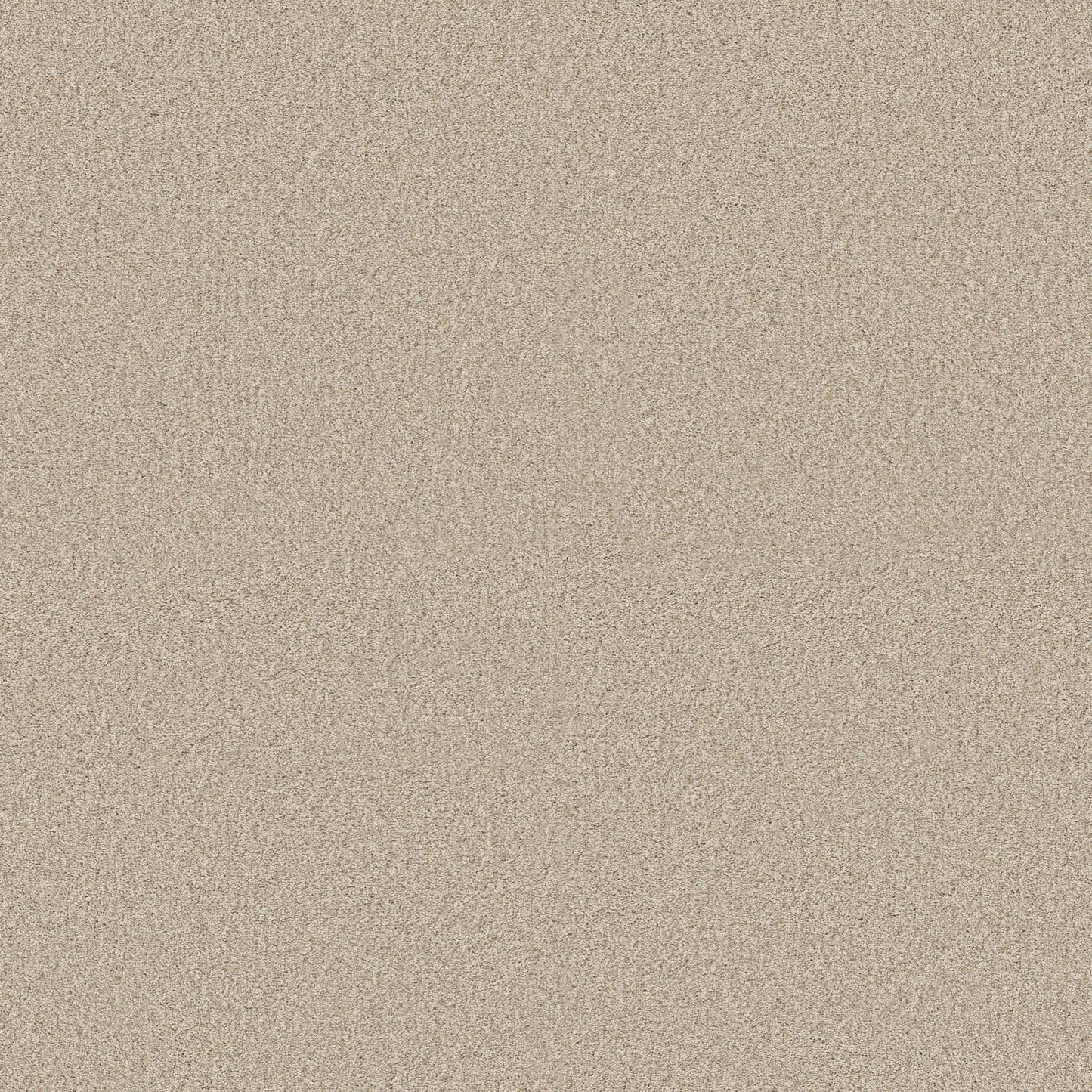 BERBER CUT PILE