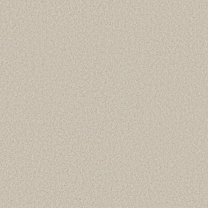 BERBER CUT PILE