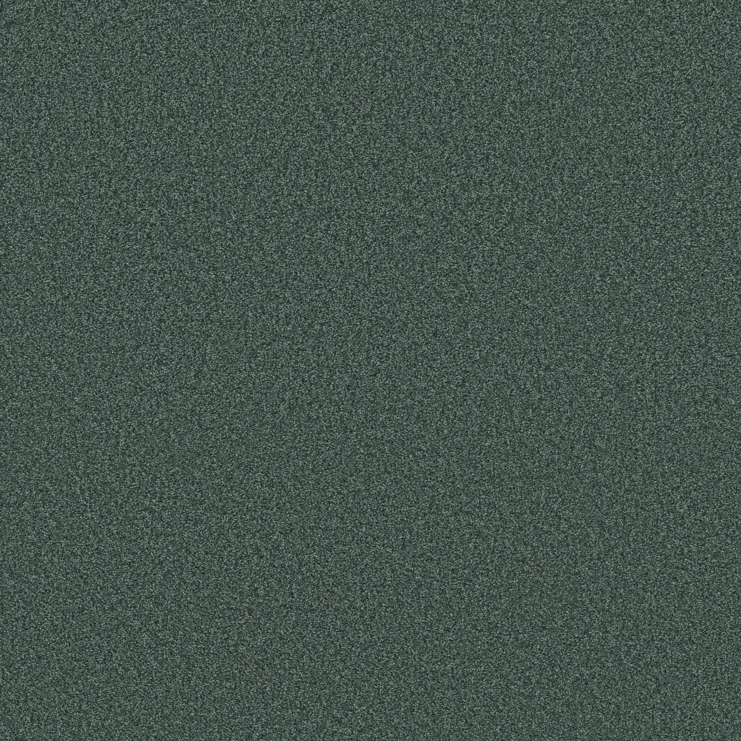 BERBER CUT PILE