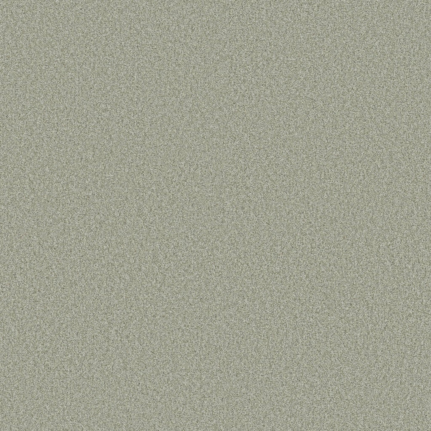 BERBER CUT PILE