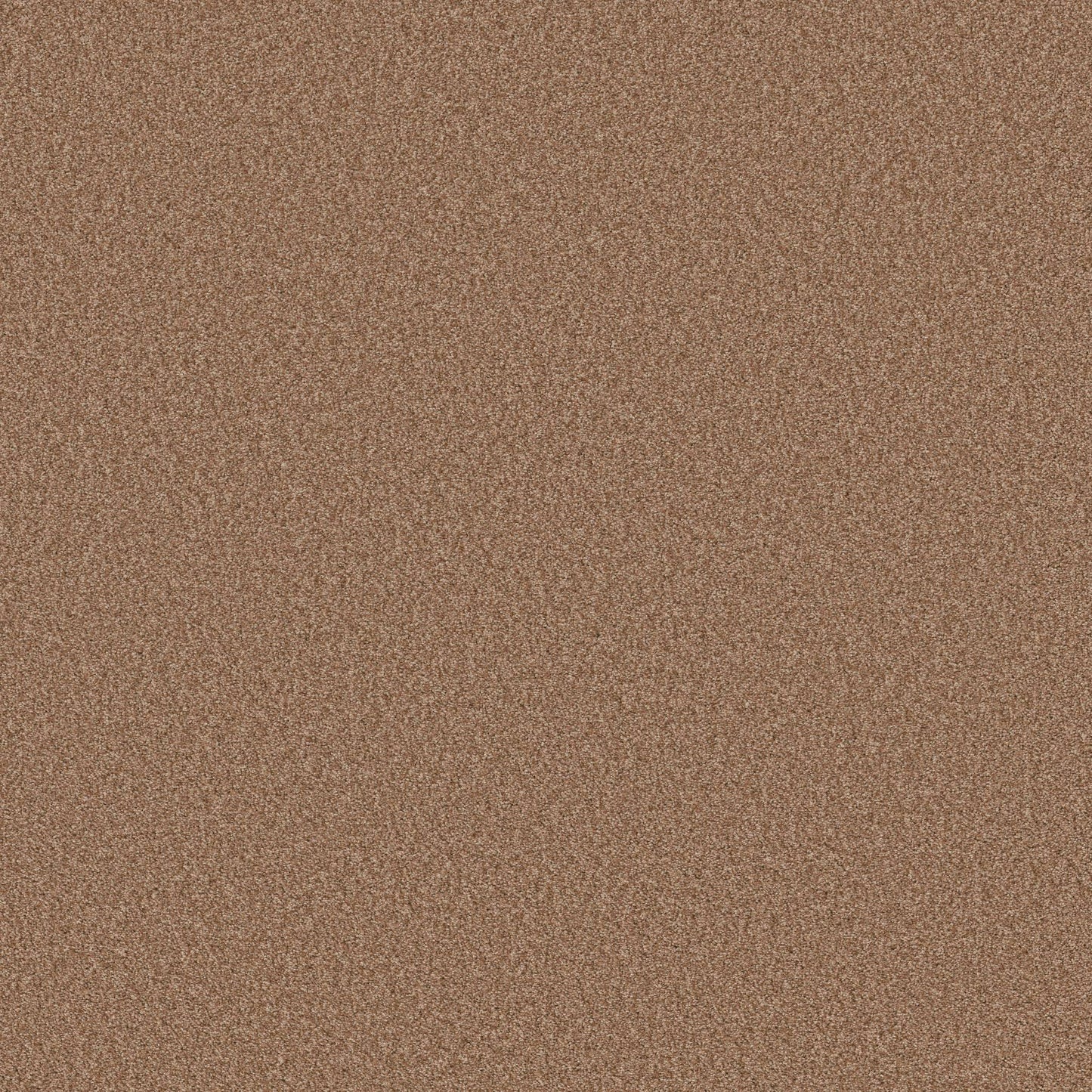 BERBER CUT PILE