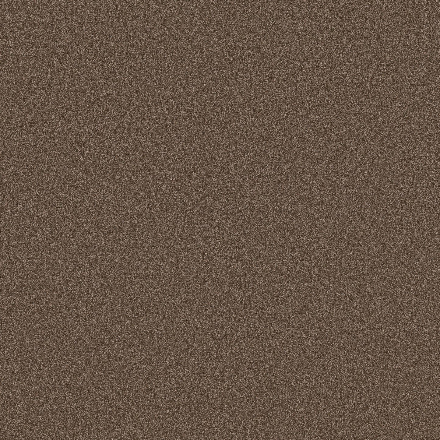 BERBER CUT PILE