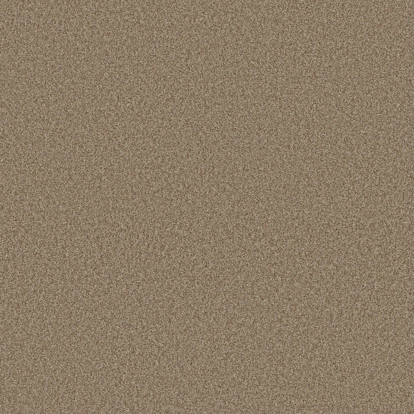 BERBER CUT PILE
