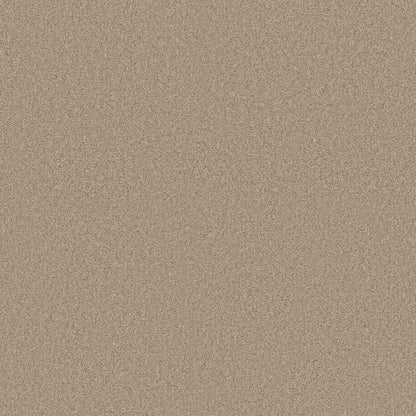 BERBER CUT PILE