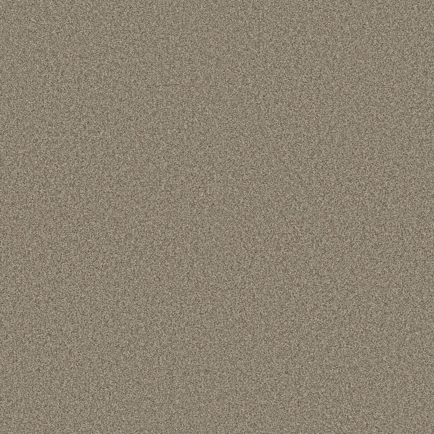 BERBER CUT PILE