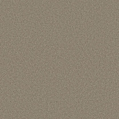 BERBER CUT PILE