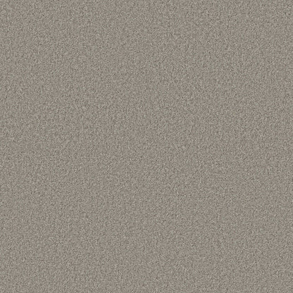 BERBER CUT PILE