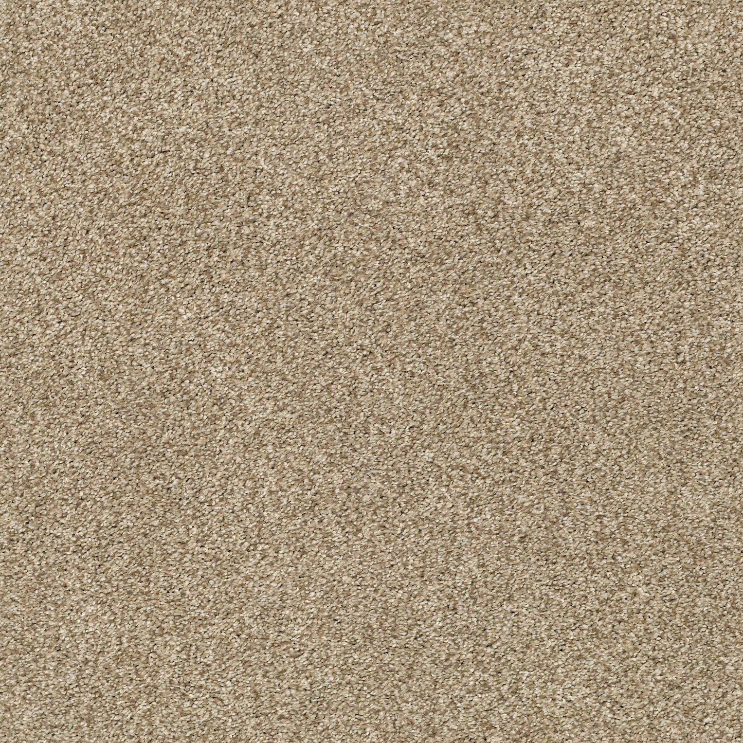 BERBER CUT PILE