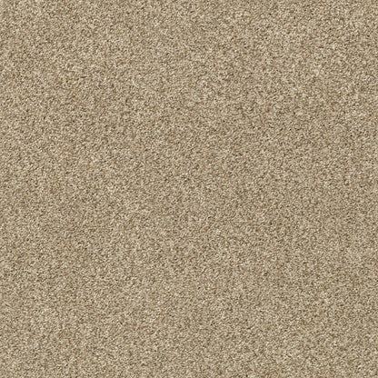BERBER CUT PILE
