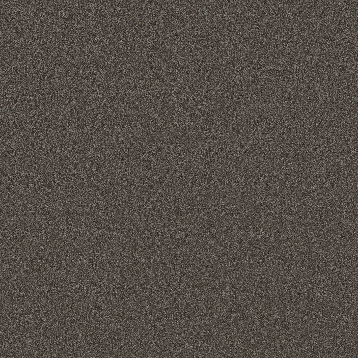 BERBER CUT PILE