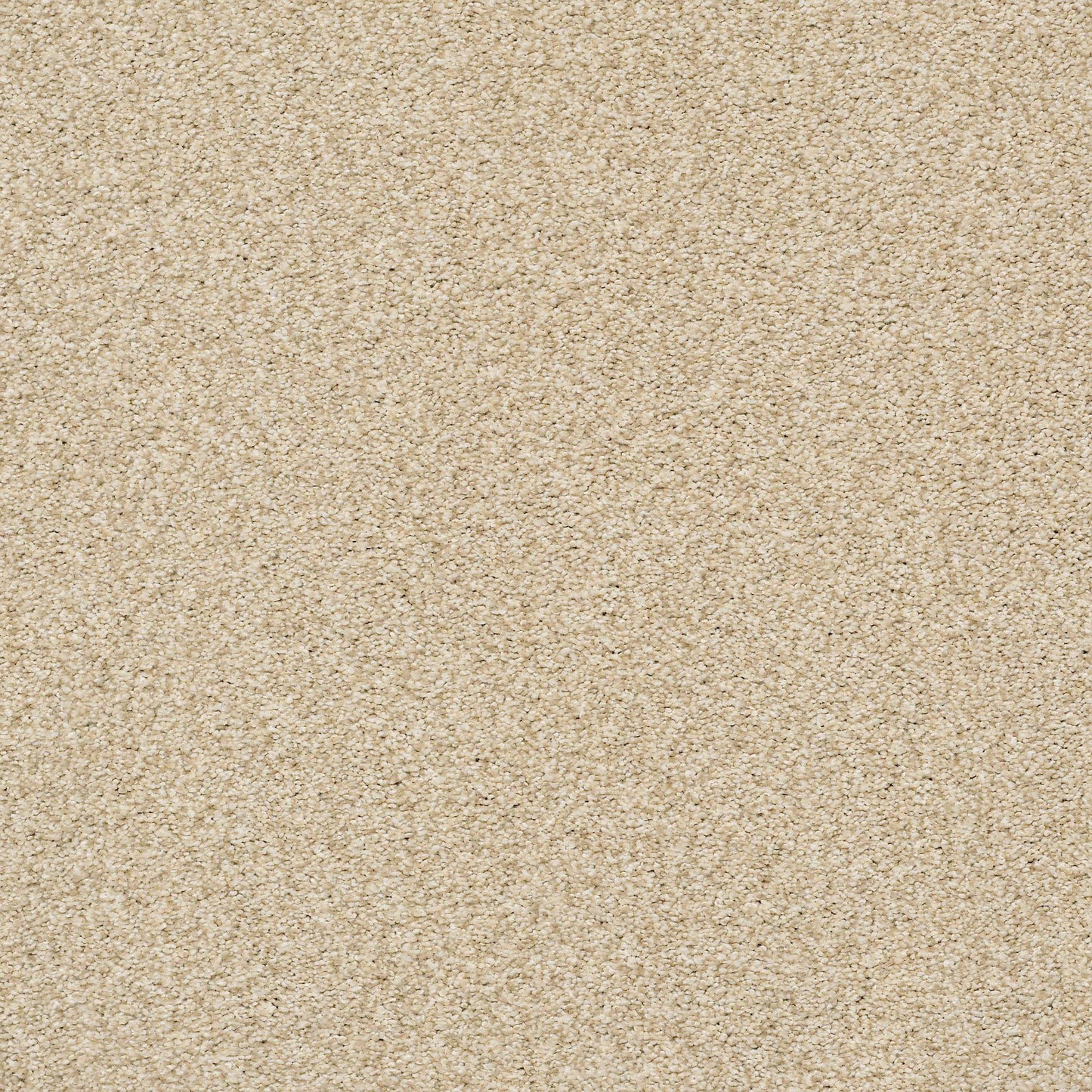 BERBER CUT PILE