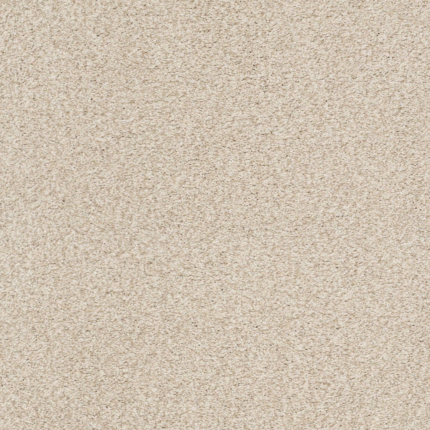 BERBER CUT PILE