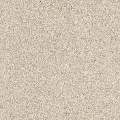 BERBER CUT PILE