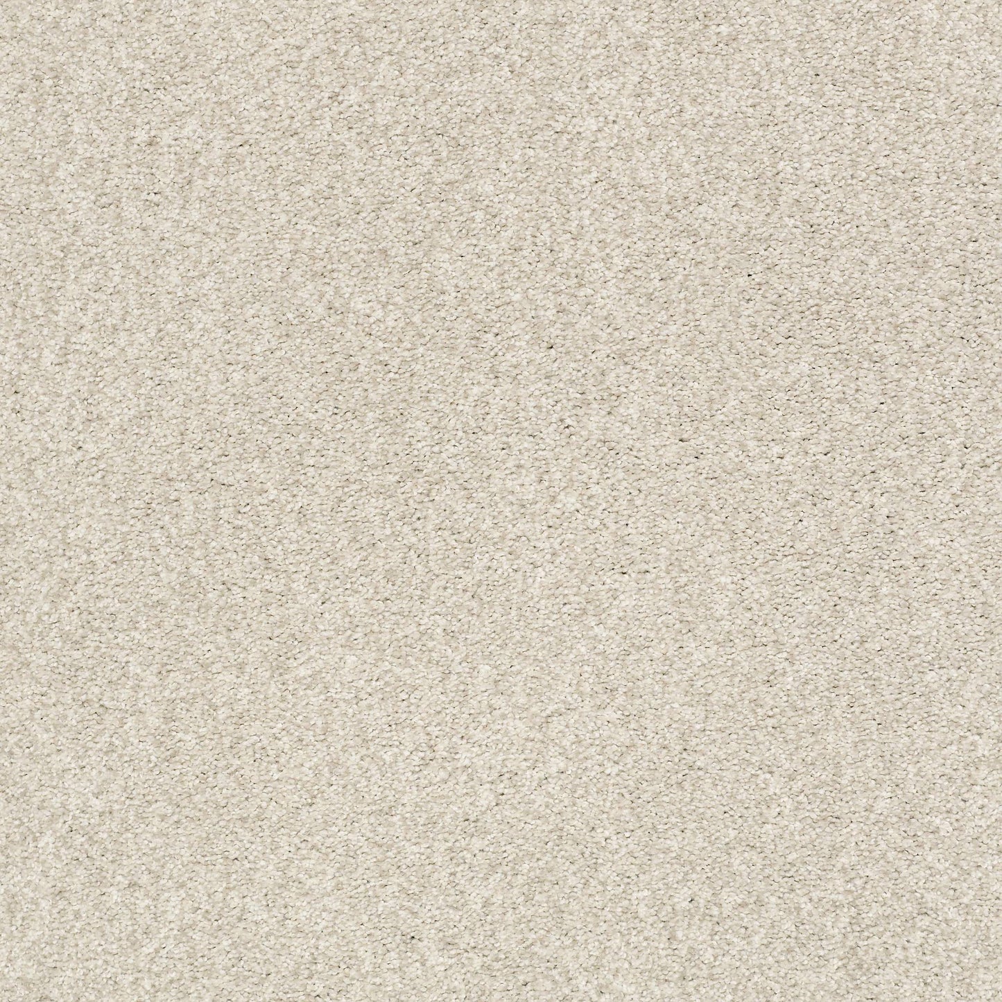 BERBER CUT PILE