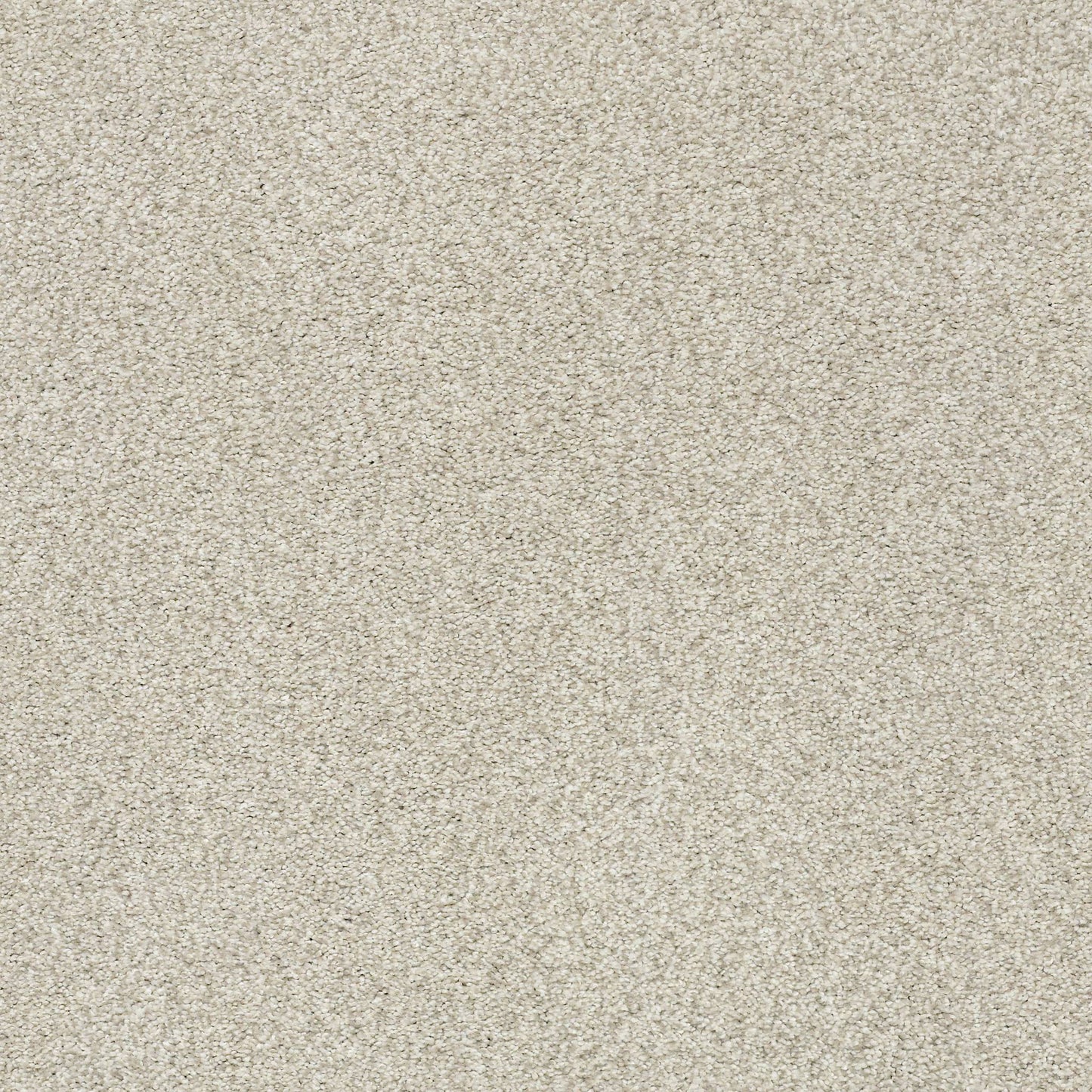 BERBER CUT PILE