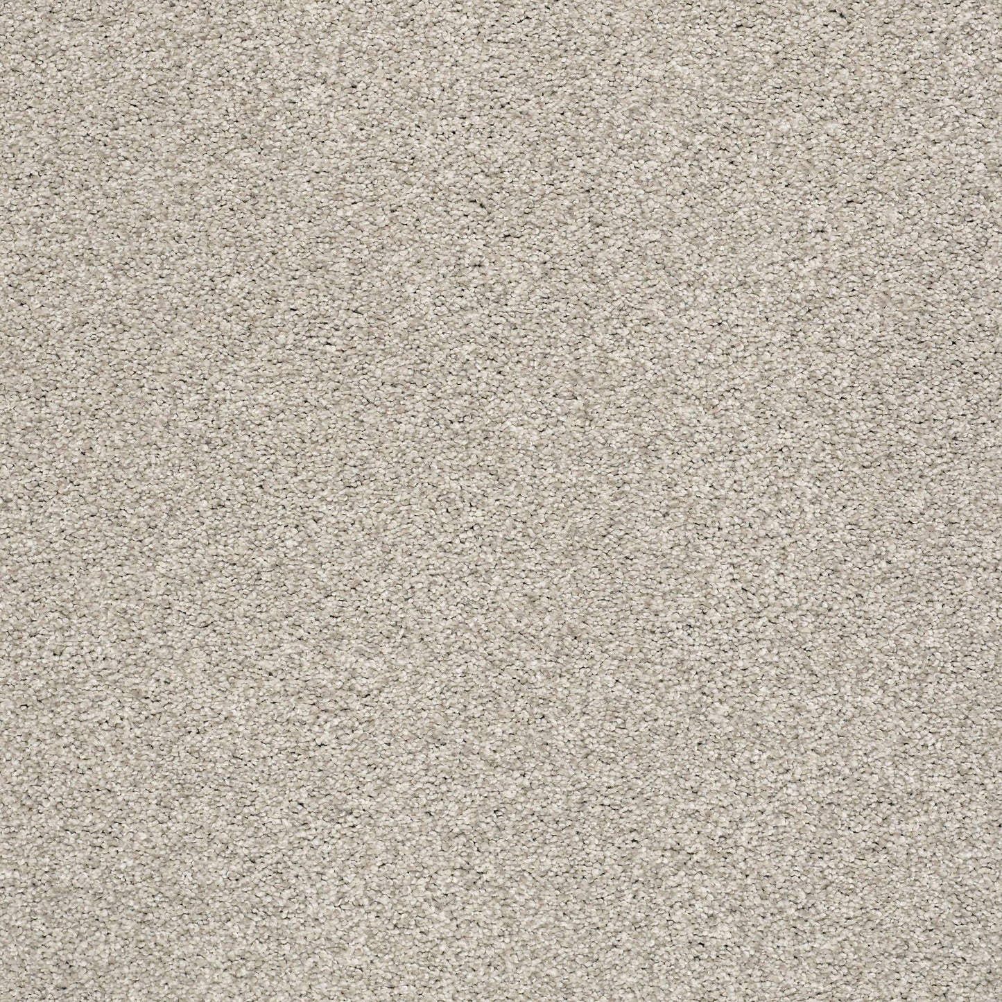 BERBER CUT PILE