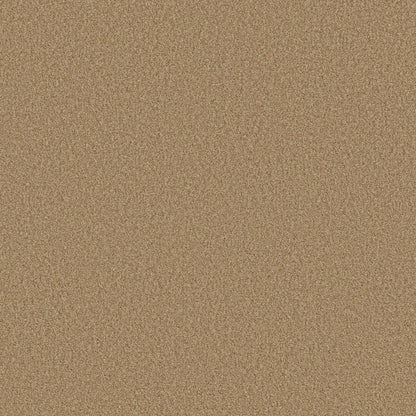 BERBER CUT PILE