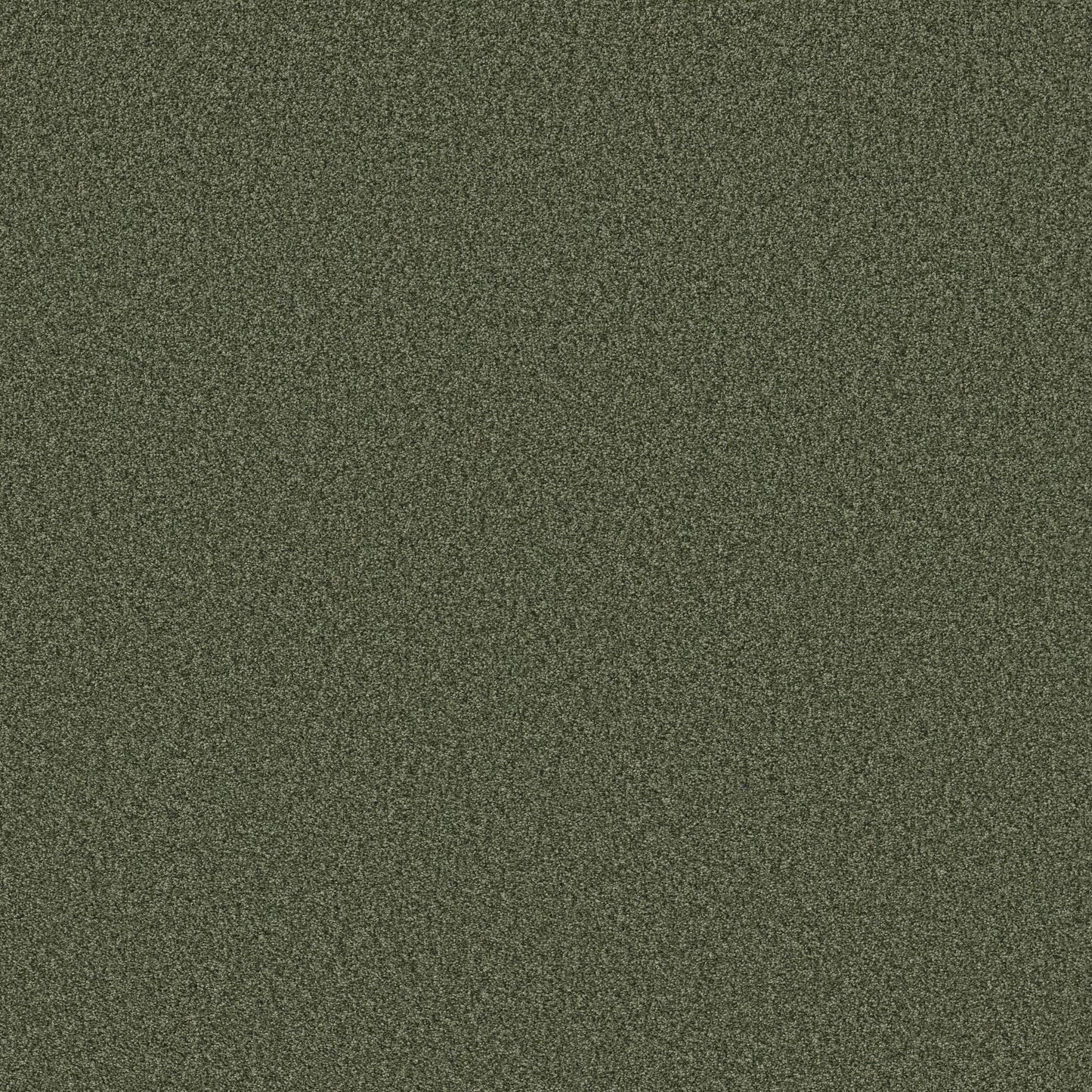 BERBER CUT PILE