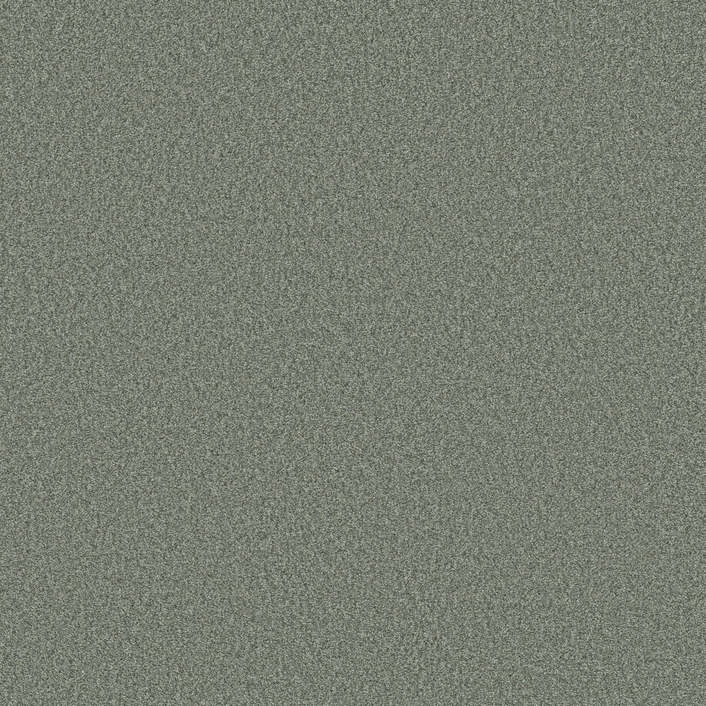 BERBER CUT PILE