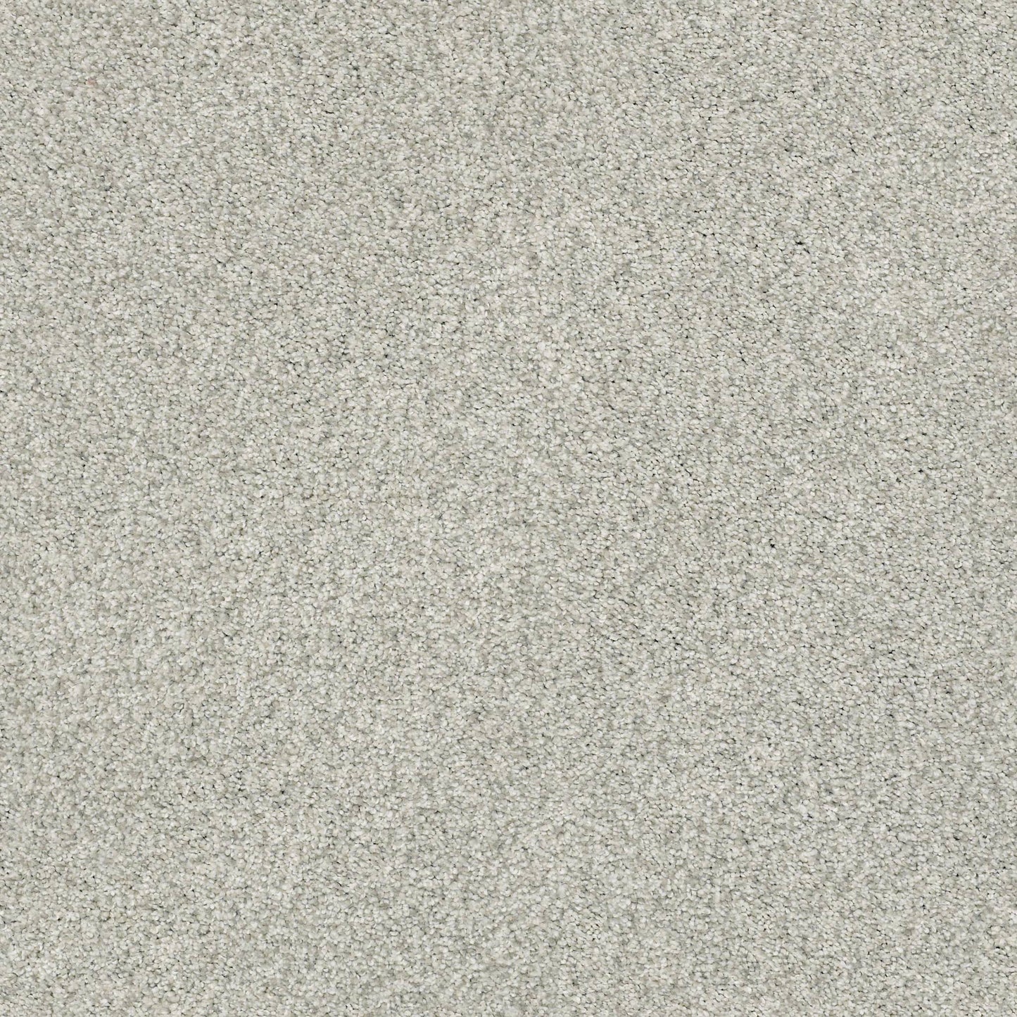 BERBER CUT PILE