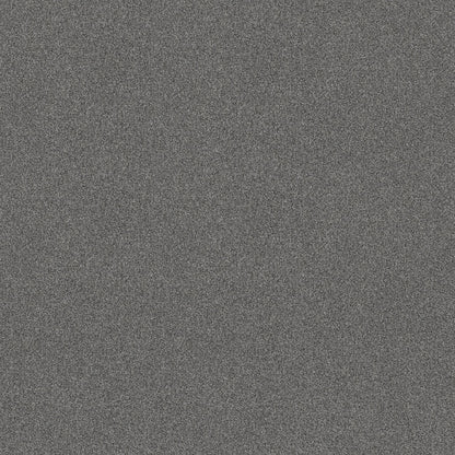 BERBER CUT PILE
