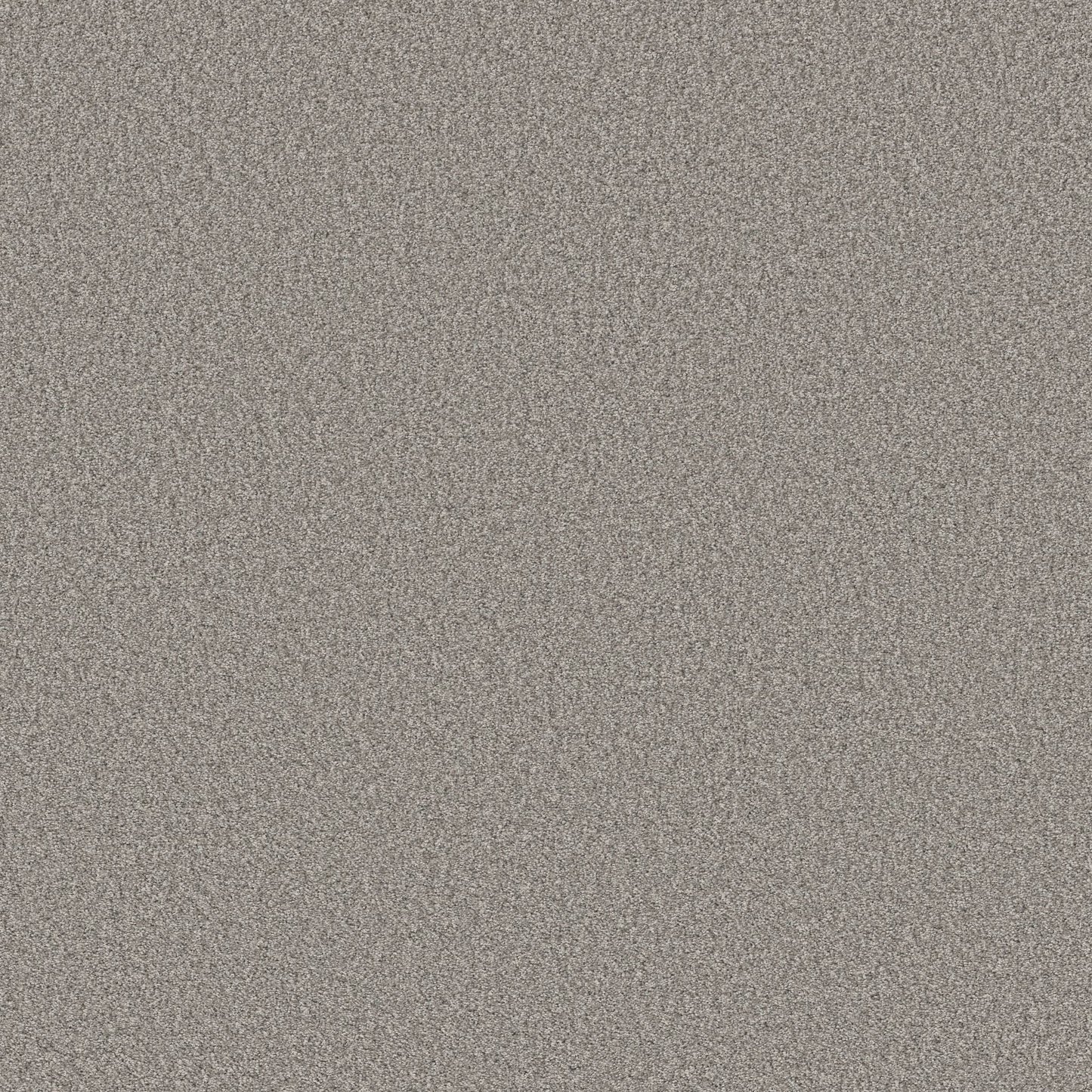 BERBER CUT PILE