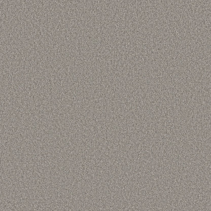 BERBER CUT PILE