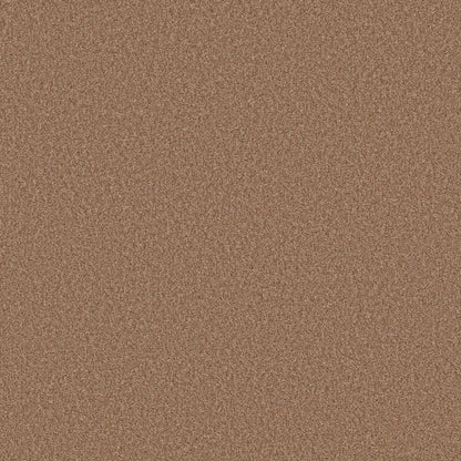 BERBER CUT PILE