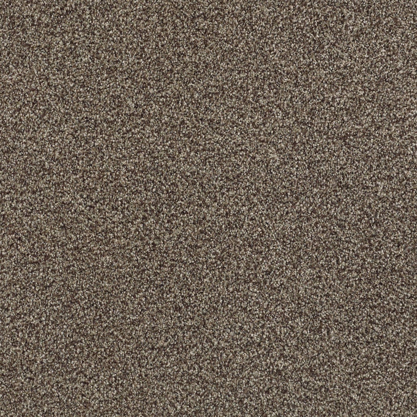 BERBER CUT PILE