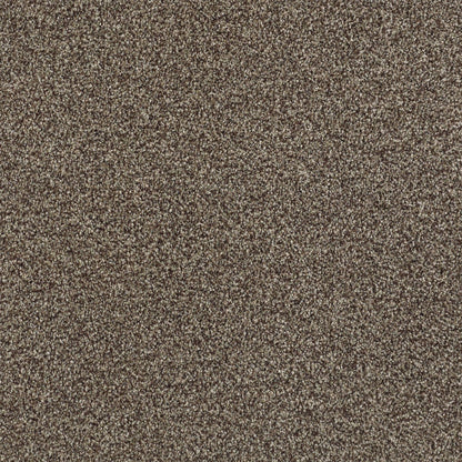 BERBER CUT PILE