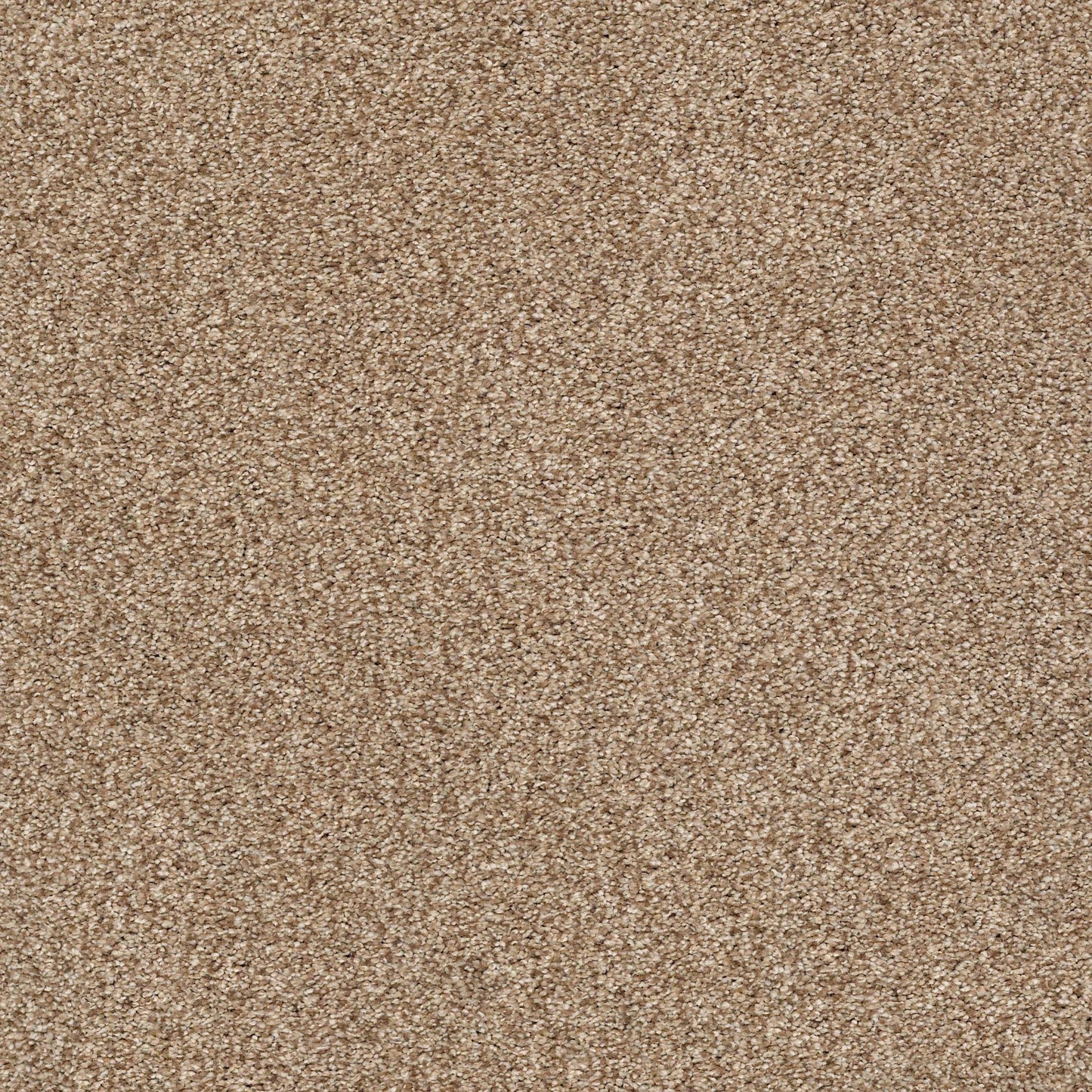 BERBER CUT PILE