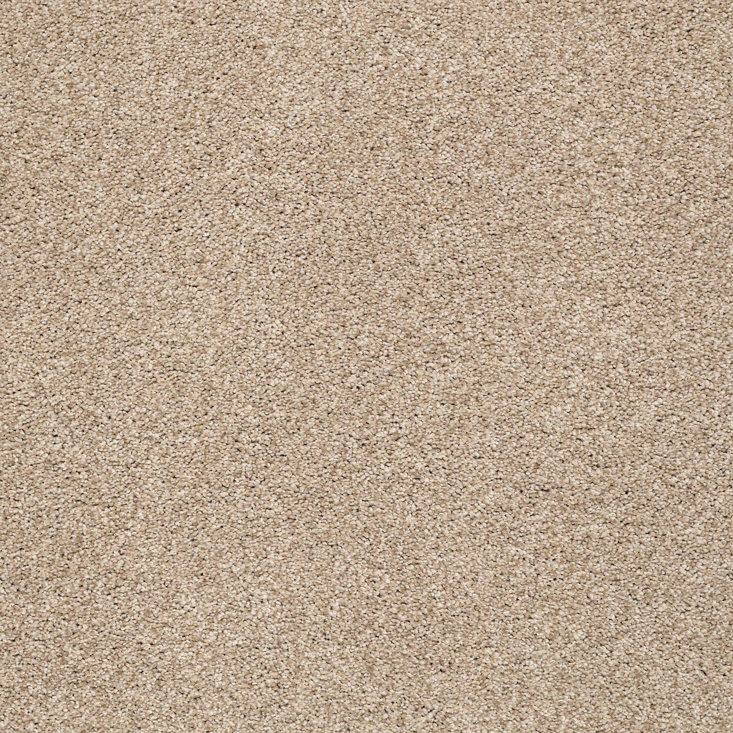 BERBER CUT PILE