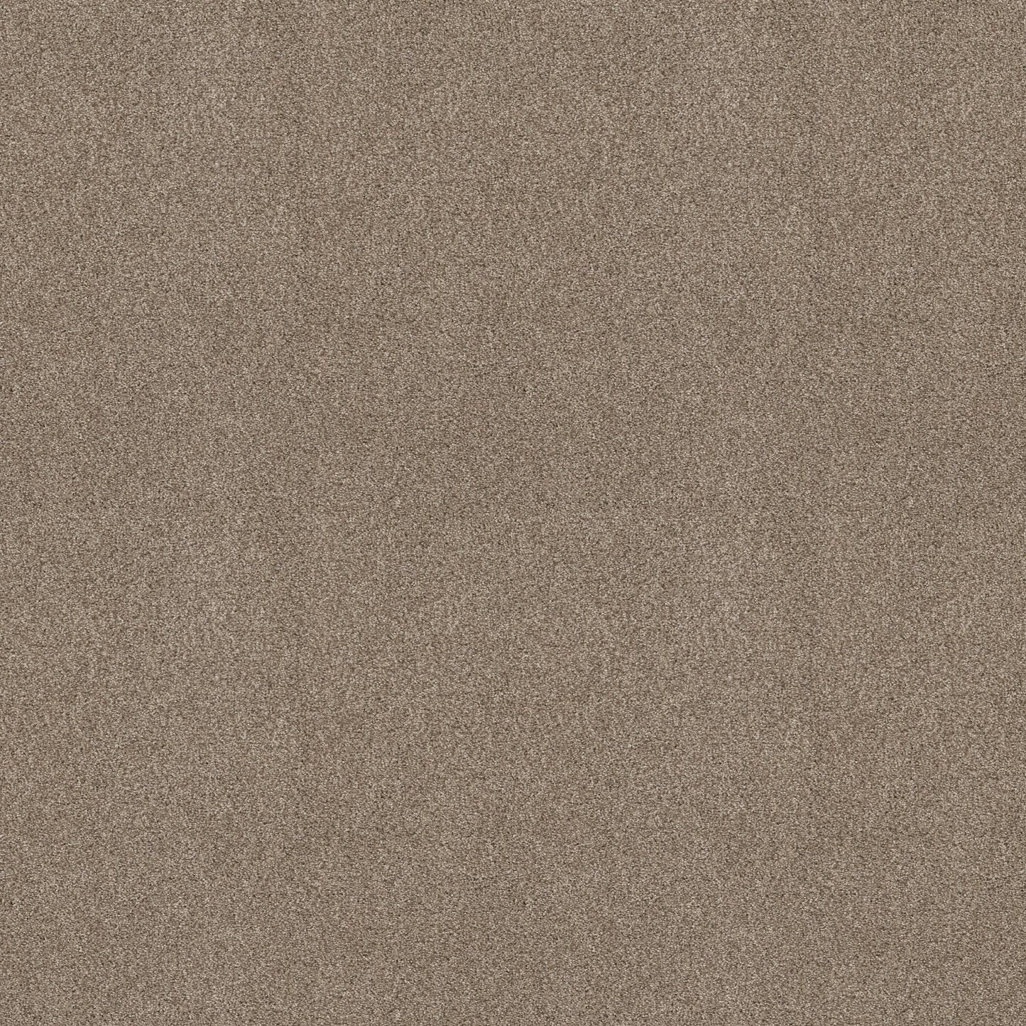BERBER CUT PILE