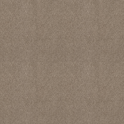 BERBER CUT PILE