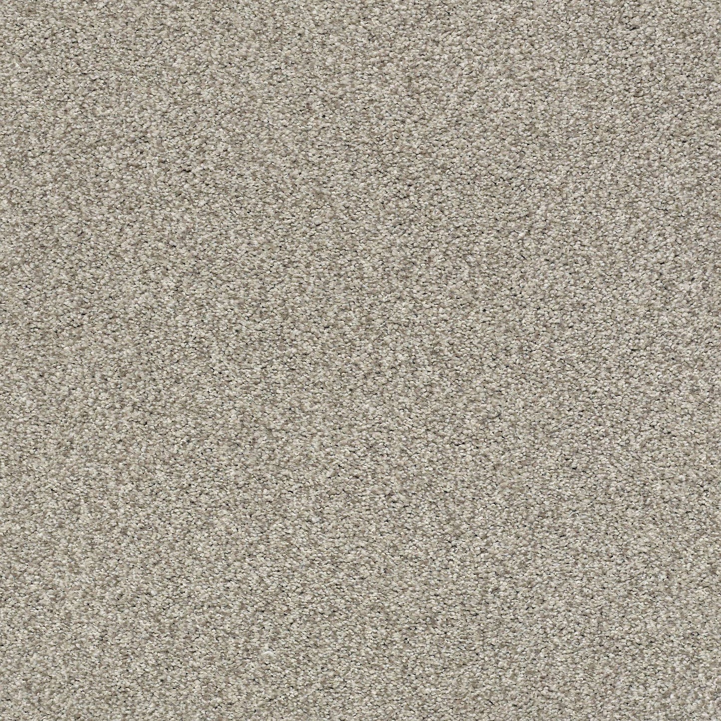 BERBER CUT PILE