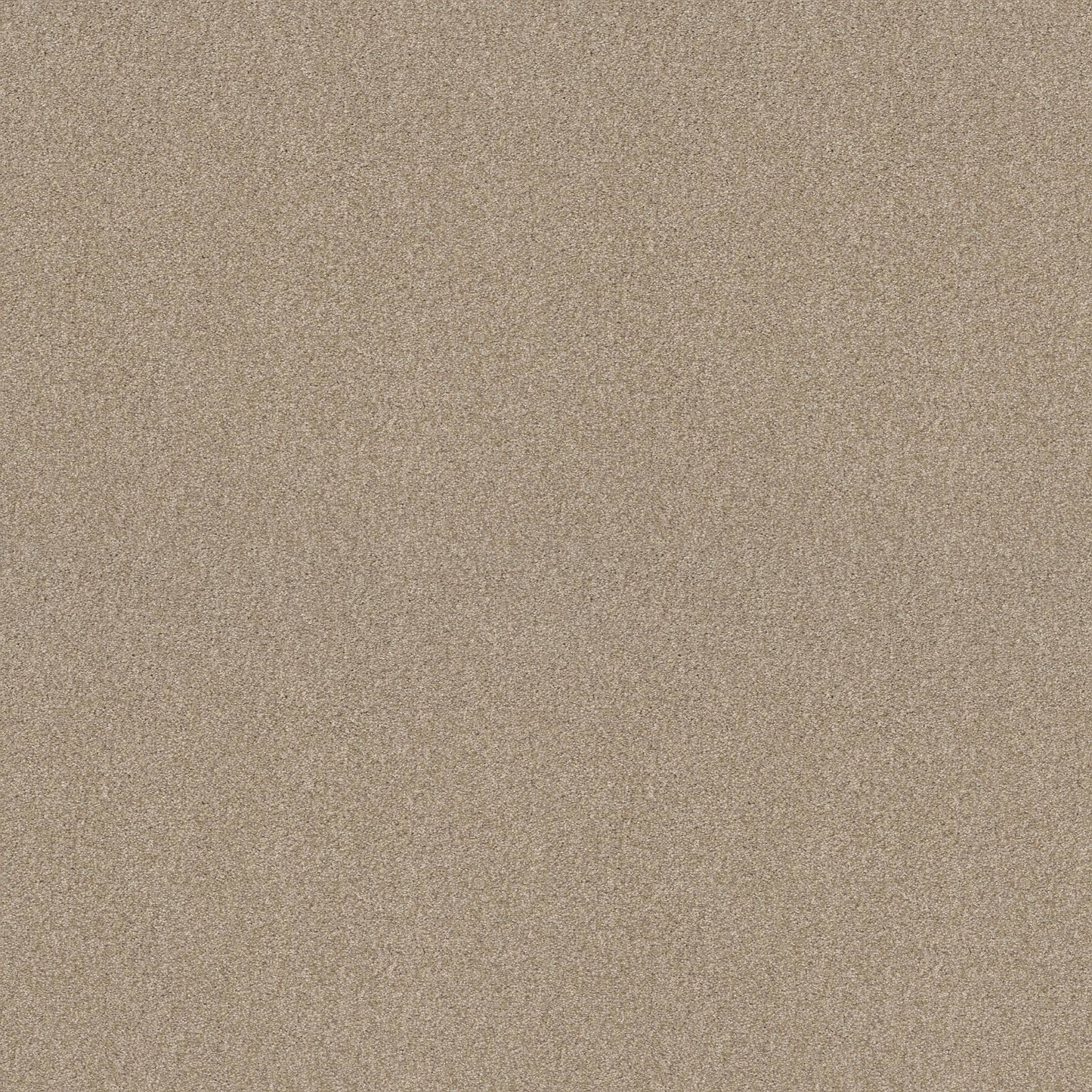 BERBER CUT PILE