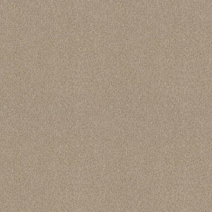 BERBER CUT PILE