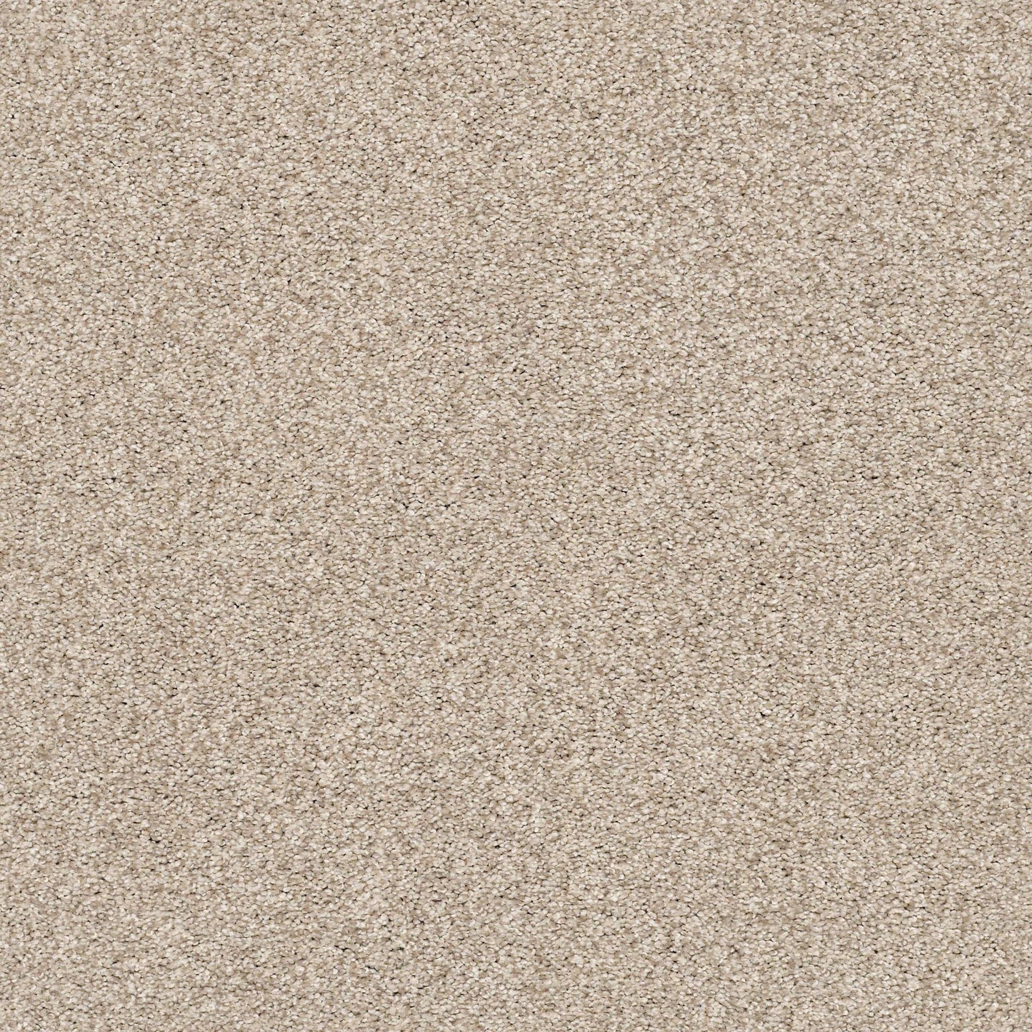 BERBER CUT PILE