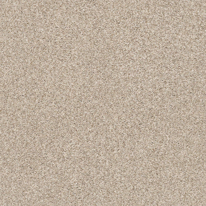 BERBER CUT PILE