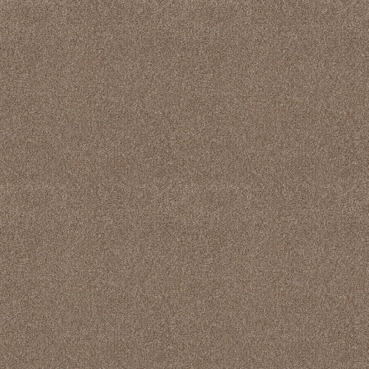BERBER CUT PILE