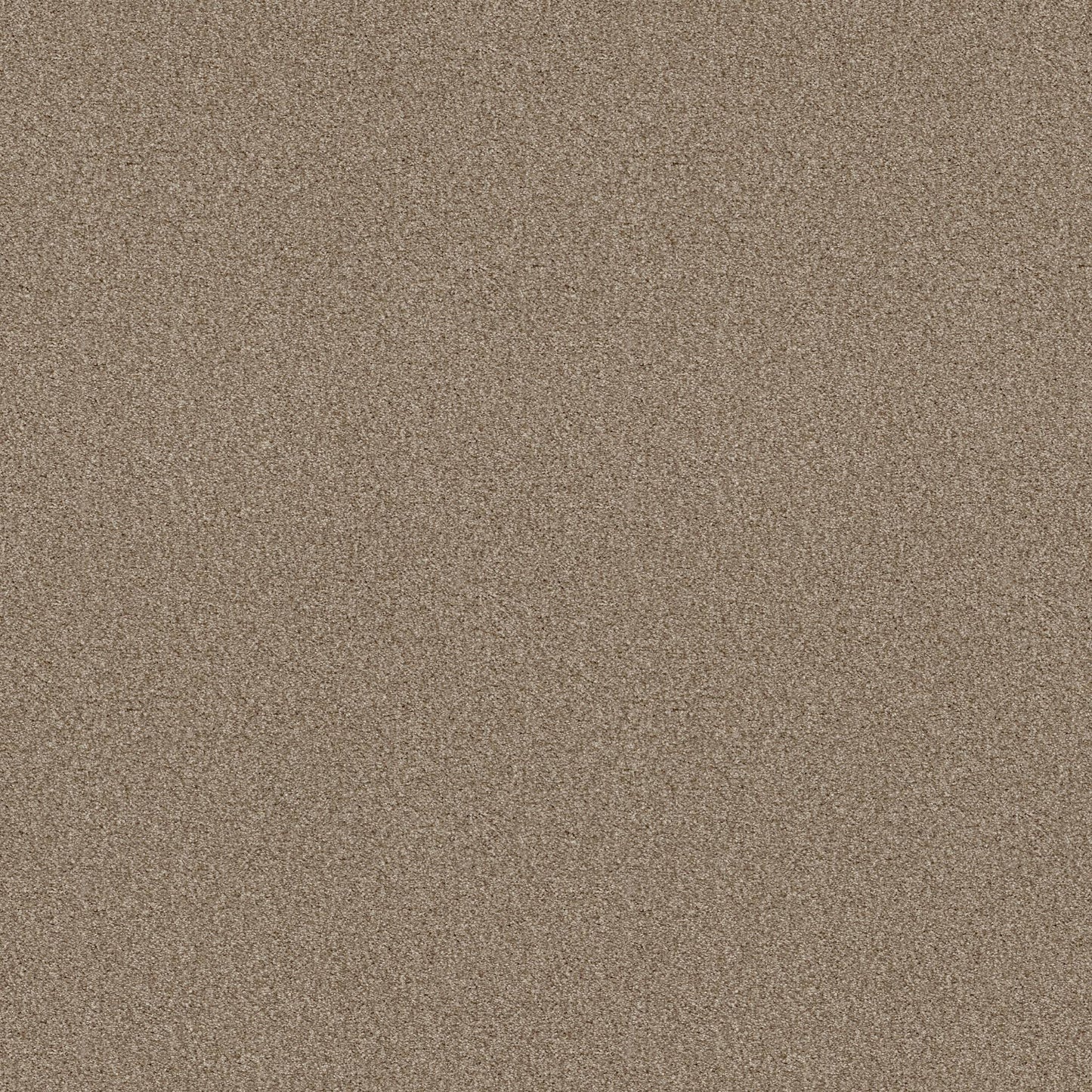 BERBER CUT PILE