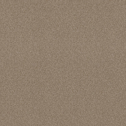 BERBER CUT PILE