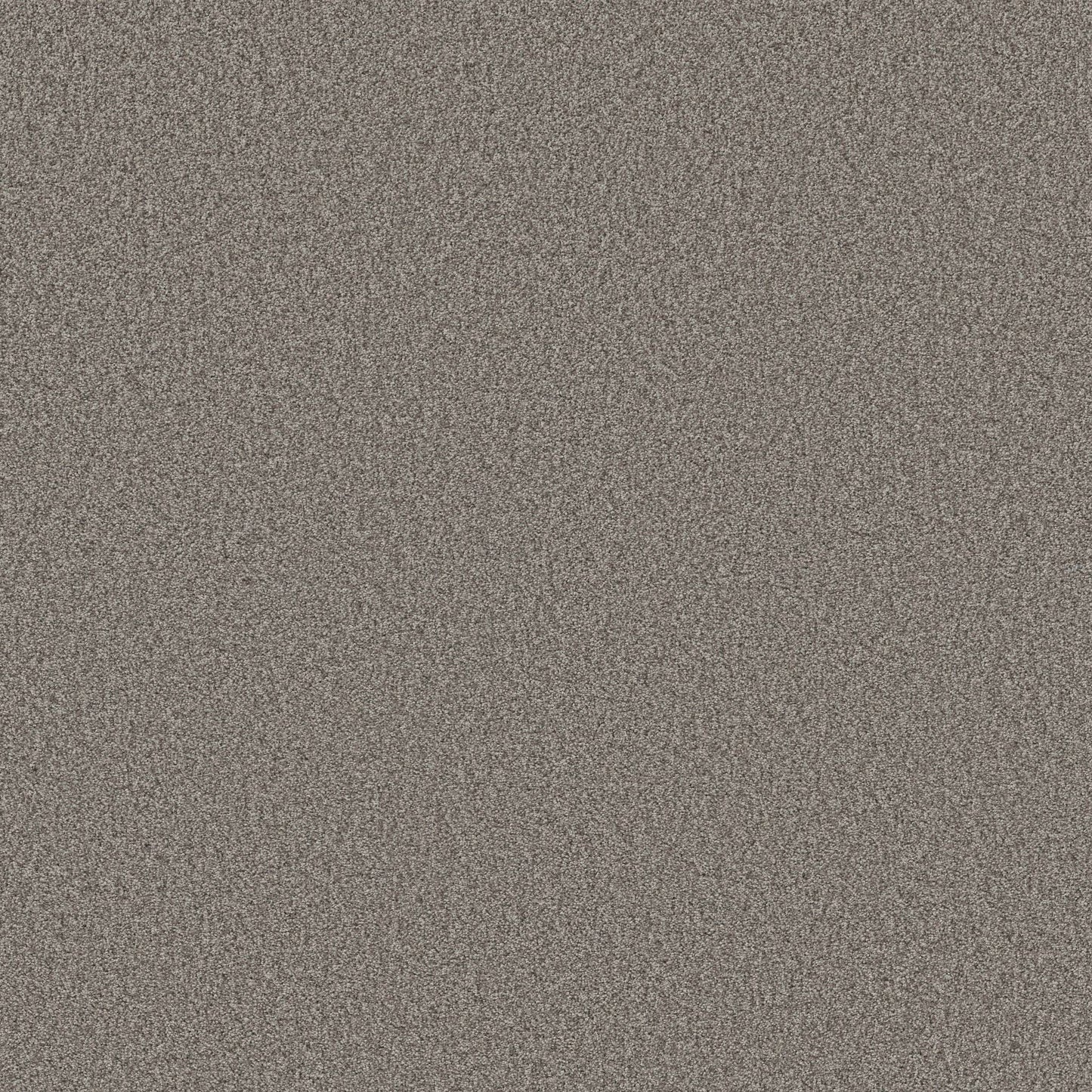 BERBER CUT PILE